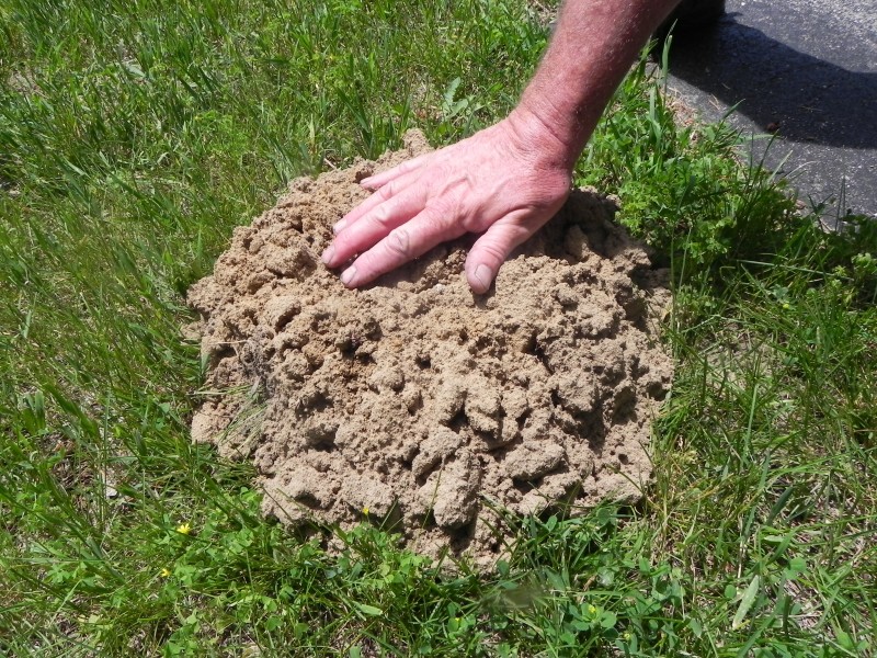 MOLES-MOTHER NATURE’S ROTO TILLERS