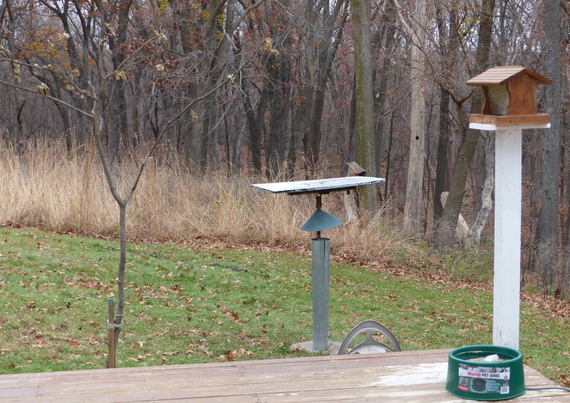 POOP POSTS HELP SOLVE BIRD FEEDING PROBLEM