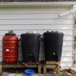 Three linked rain barrels