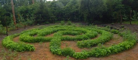 String Bean Labyrinth