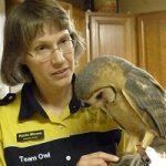 Karla Bloem with Barn Owl