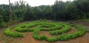 String Bean Labyrinth