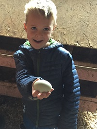 First Egg!