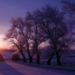Sunrise in Winter