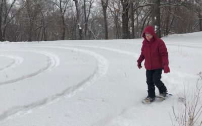 Walking the Labyrinth in the Snow