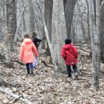 Kids in the woods