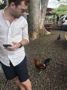 rooster following a man.