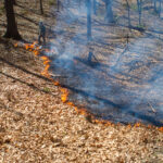 Man tending the fire line