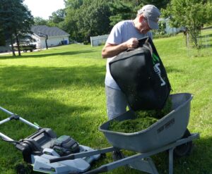 Man empties grass clippings into wheelbarrow