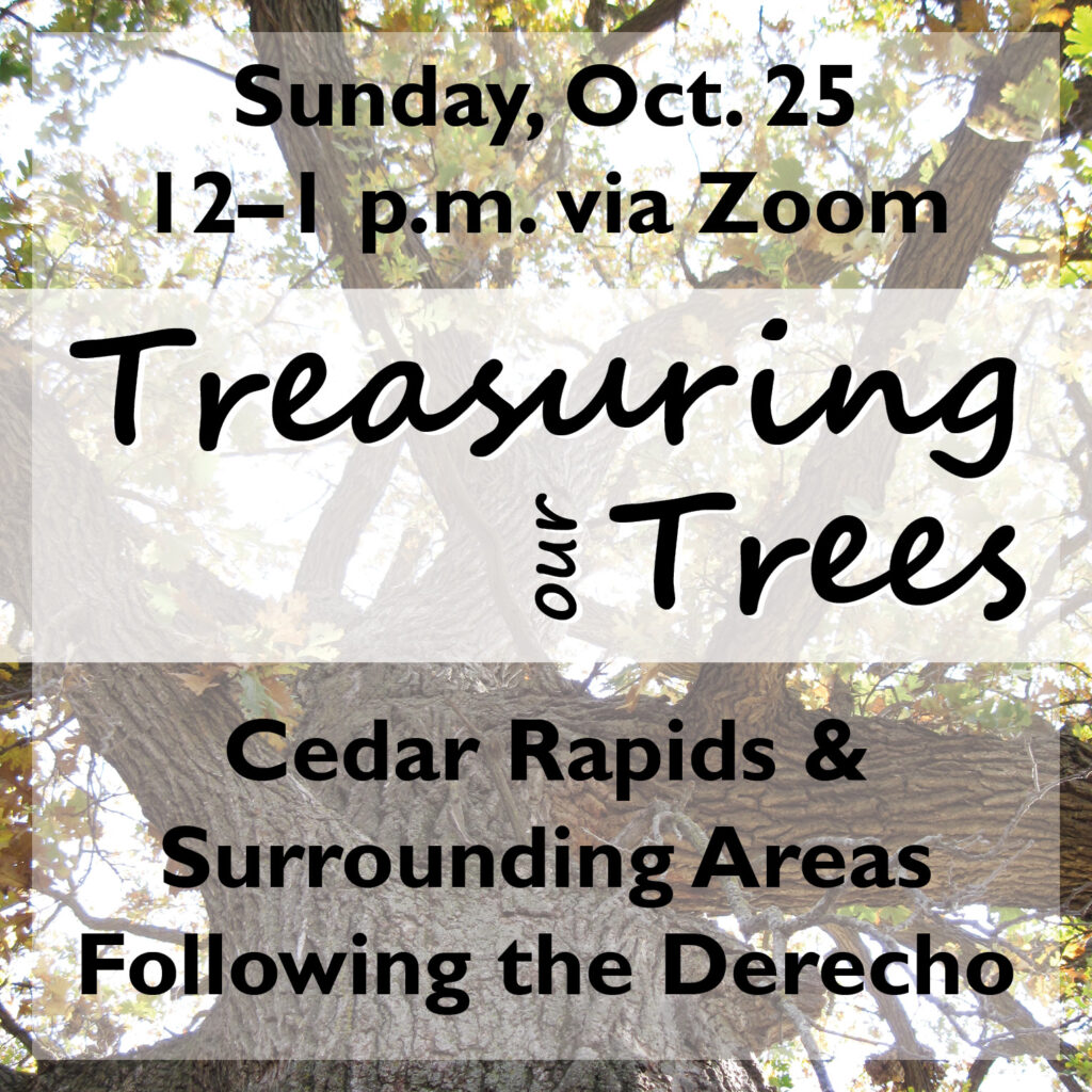 Flyer:Treasuring Our Tree