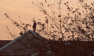Man on roof
