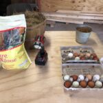 treat items for hens