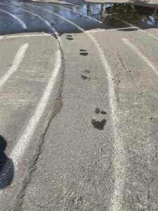 Wet Foot prints on concrete labryinth