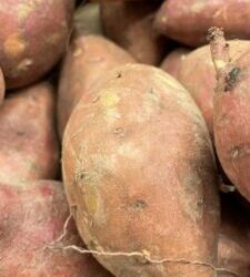 Can You Grow Sweet Potatoes in Iowa?