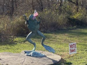 Voting Frog