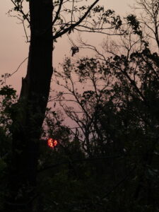 Blood red sun rising through smoke.