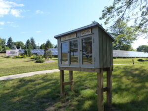 Free-standing food pantry and books by the road.