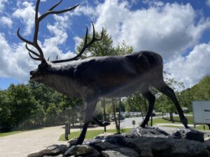 Regal Elk Statue