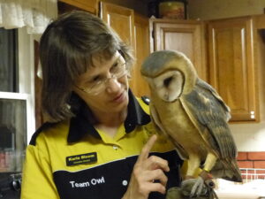 Karla Bloem, of the International Owl Center, with Barn Owl.