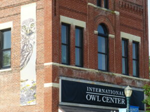 International Owl Center, Houston, MN