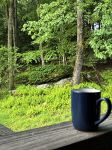 Coffee cup on porch rail with emerald green ferns and trees on the hillside.