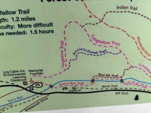Map of Cook Forest Trail to ancient trees