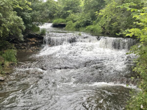 Briggs Woods Co Park Waterfall