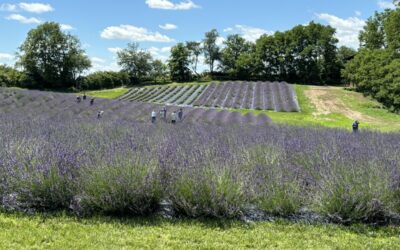 Two Rural Views: Iowa’s Rich Heritage