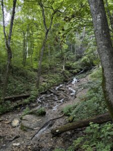 Cool waters tumble over limestone to the Upper Iowa River