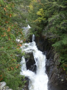 rushing stream in Minnesota