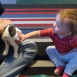 Child touching a rabbit.