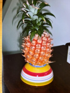 Pineapple in pot