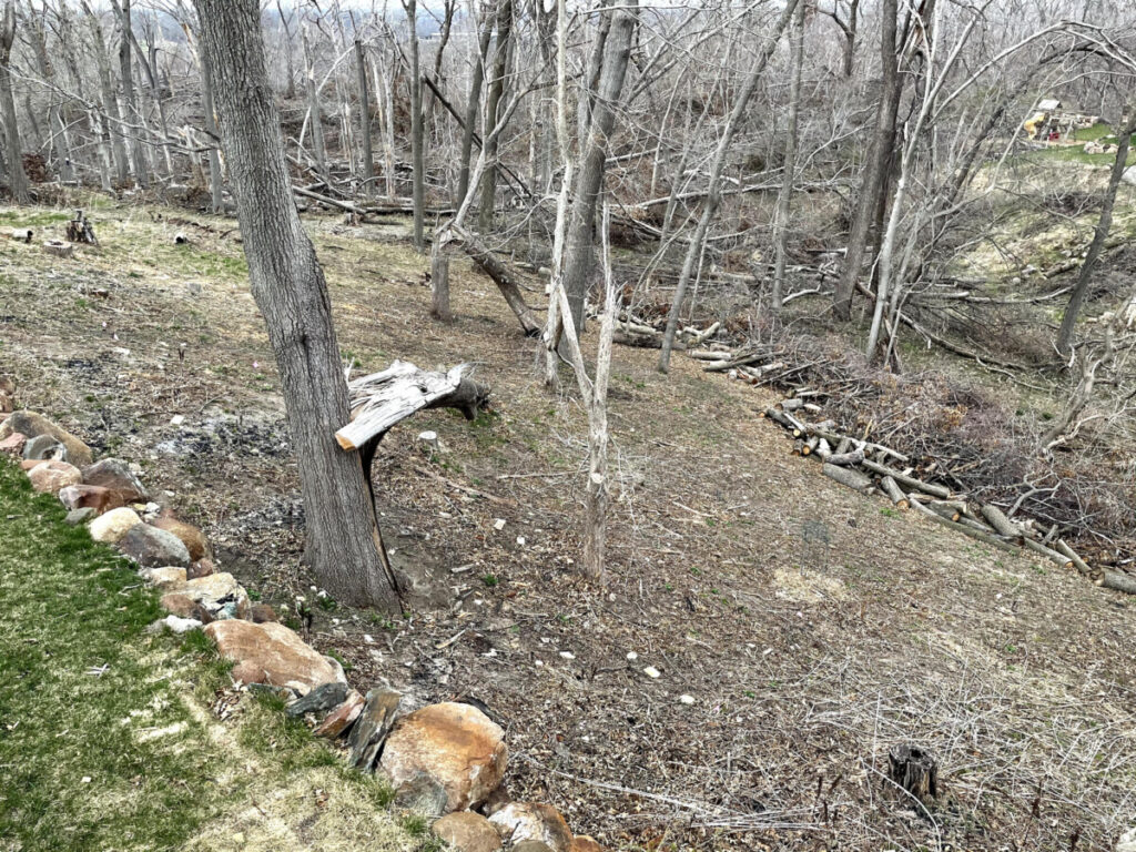 East hillside cleared of trees.