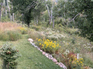 Hillside with yellow goldenrod and white snakeroot