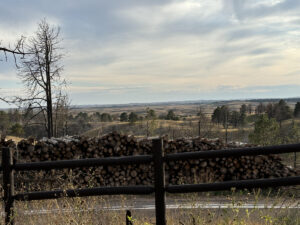 Nebraska grasslands and dead trees