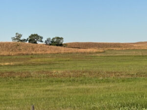 Sandhills and cultivated low lands.