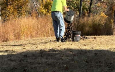 Nut Wizard Picks ‘em Up to Create a Squirrel Magnet