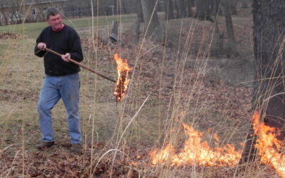 Why Do Prescribed Prairie Burns?