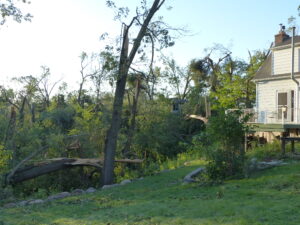 Trees destroyed by Derecho.