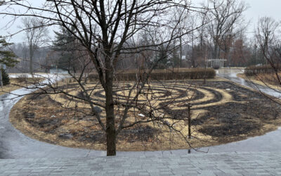 Labyrinth Walks 2025