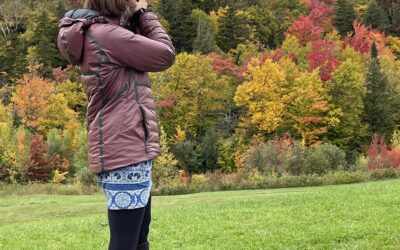 Autumn – Changing of the Guard