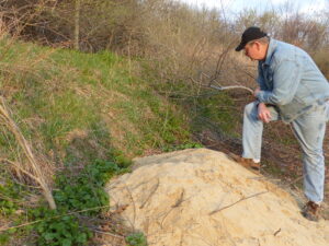 Man looks at mound of sand. Fox or coyote or groundhog den?