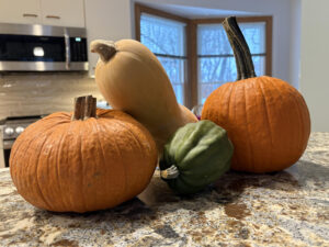 Orange pie pumpkins, hand-sized acorn squash, and large tan butternut squash on a shelf.