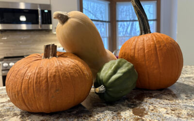 Winter Squash